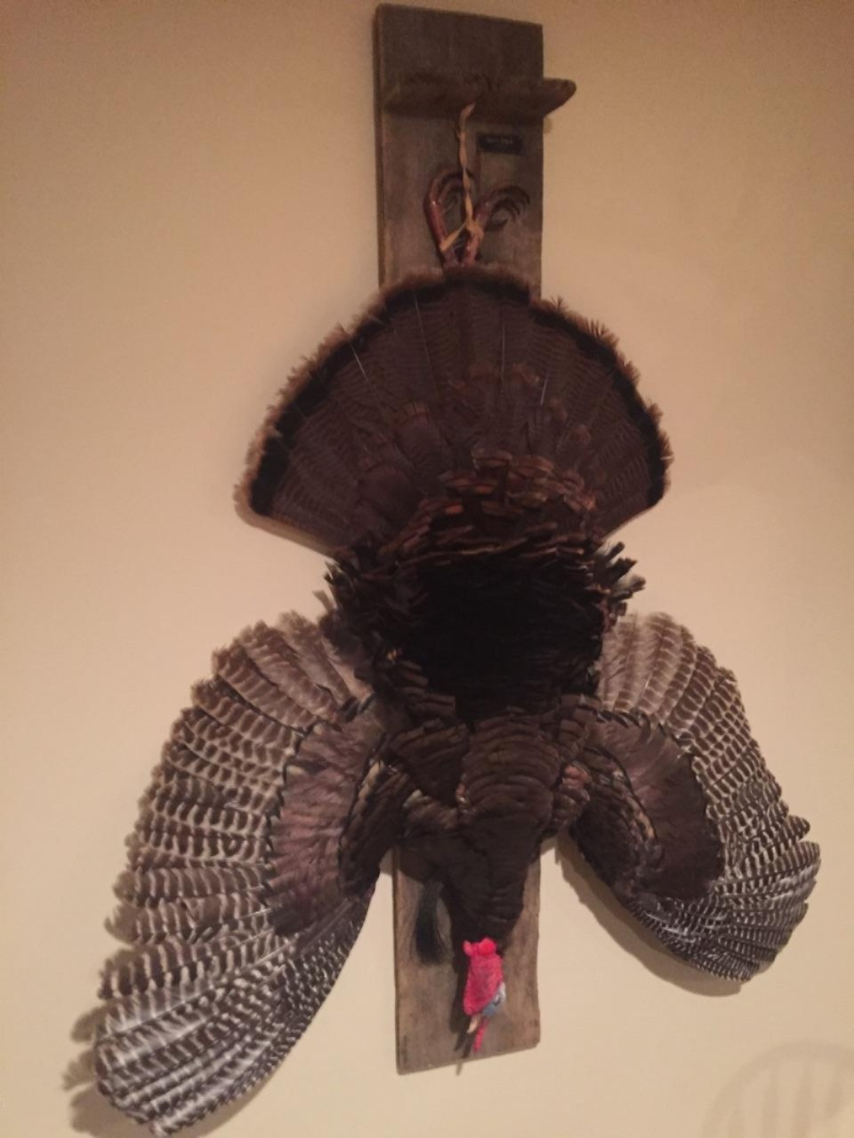 92nd Avenue Decatur, MI 49045 - Photo 16 of 18 92nd Turkey