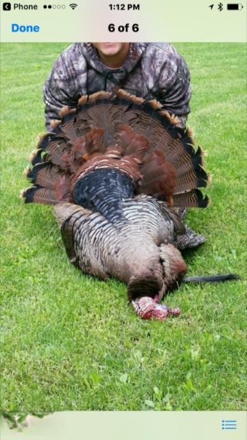 92nd Avenue Decatur, MI 49045 - Photo 17 of 18 Turkey 2