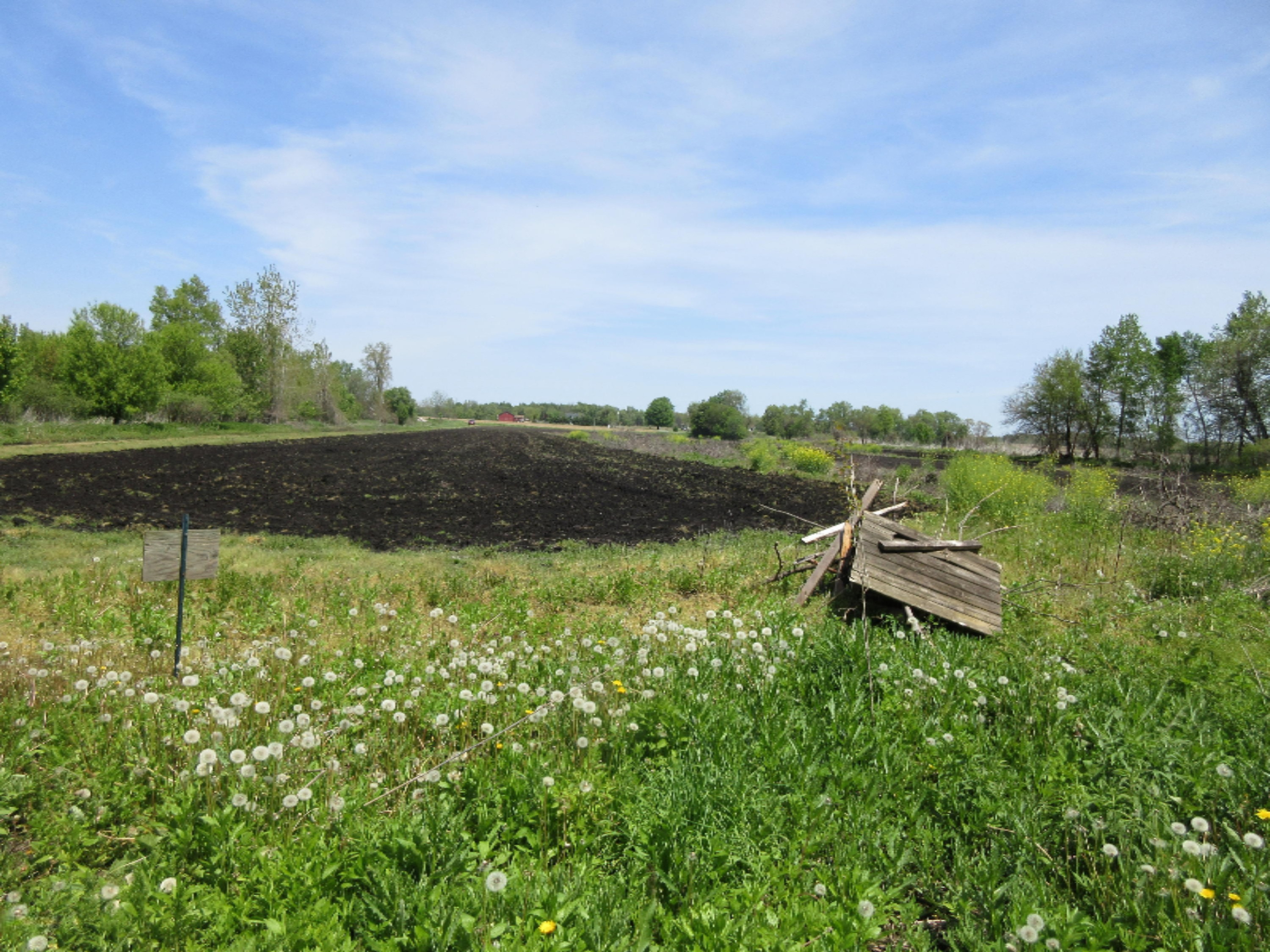 92nd Avenue Decatur, MI 49045 - Photo 5 of 18 IMG_1200