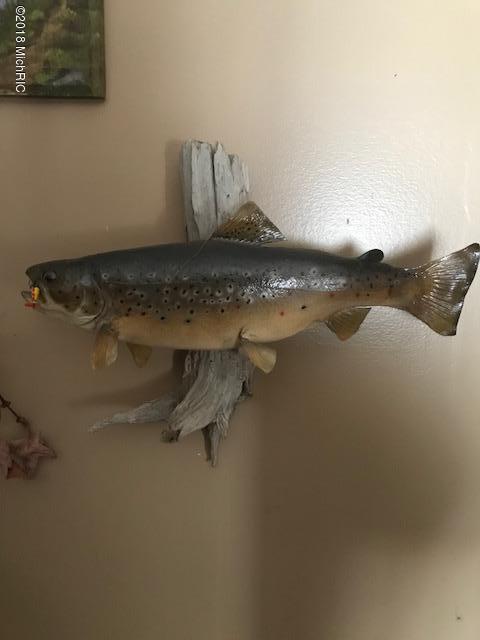 92nd Avenue Decatur, MI 49045 - Photo 6 of 18 92nd Ave Trout