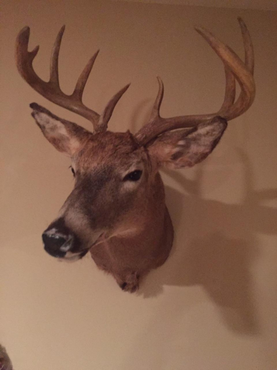 92nd Avenue Decatur, MI 49045 - Photo 7 of 18 92nd Buck