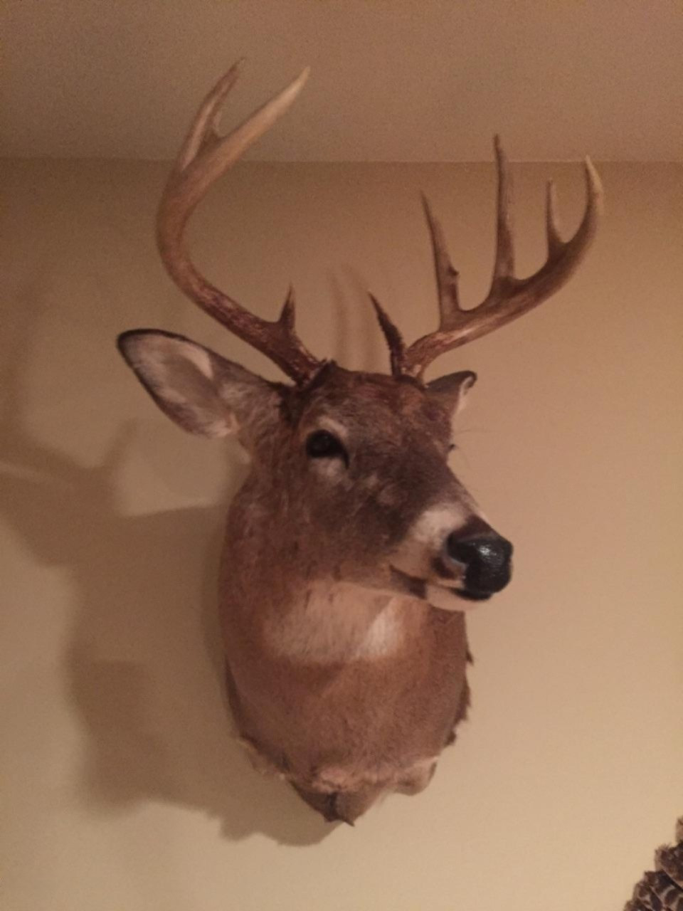 92nd Avenue Decatur, MI 49045 - Photo 8 of 18 92nd Buck 2