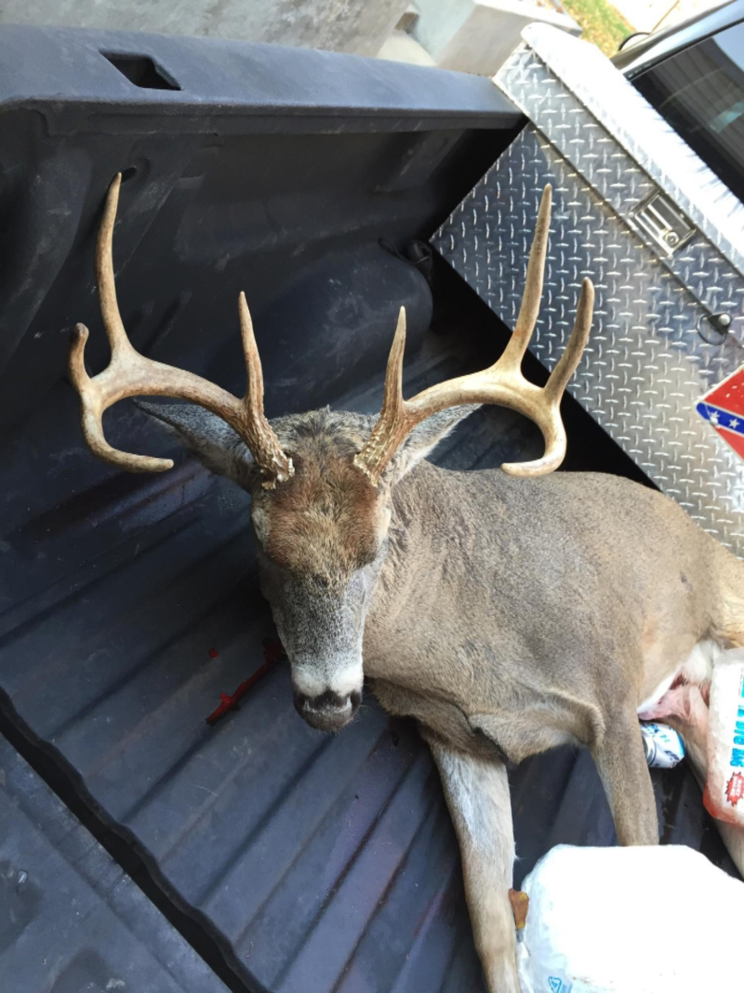 92nd Avenue Decatur, MI 49045 - Photo 9 of 18 92nd Buck 3