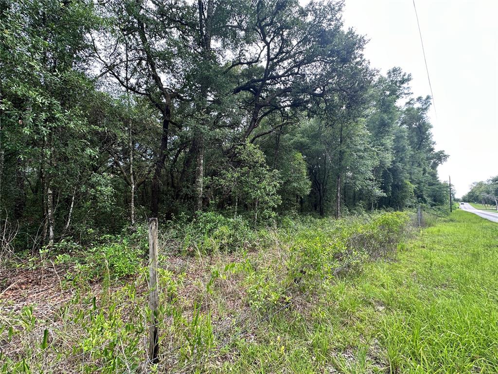 Tbd Northeast 65th Lane Bronson, FL 32621 - Photo 4 of 12