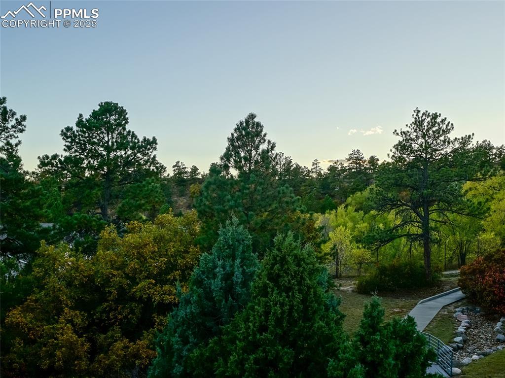 3765 Hartsock Lane, Unit 307 Colorado Springs, CO 80917 - Photo 28 of 37 a backyard of a house with lots of green space