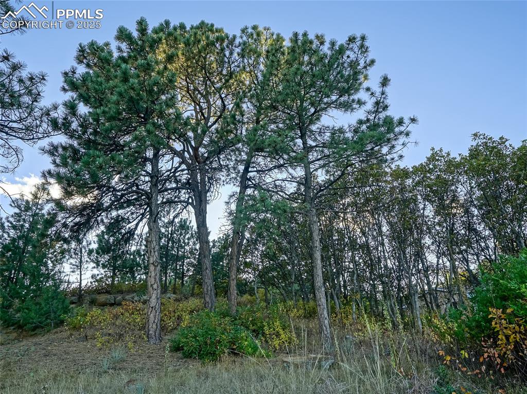 3765 Hartsock Lane, Unit 307 Colorado Springs, CO 80917 - Photo 29 of 37 a view of a garden