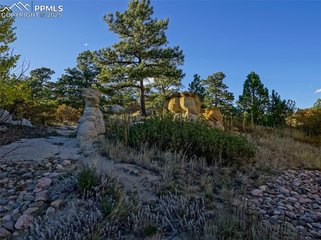 3765 Hartsock Lane, Unit 307 Colorado Springs, CO 80917 - Photo 31 of 37 a view of a yard
