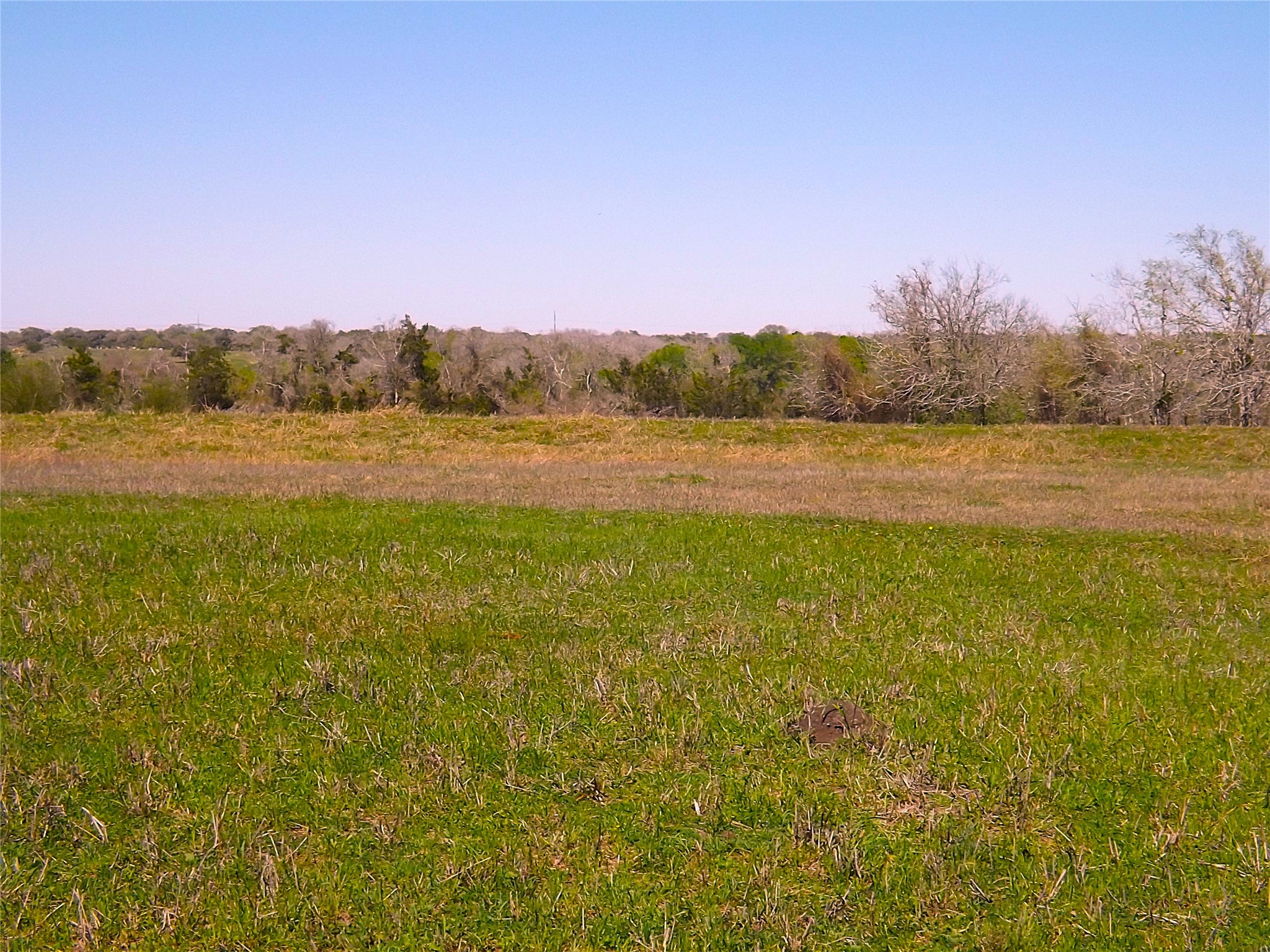 1649 County Road 209 Weimar, TX 78962 - Photo 15 of 27