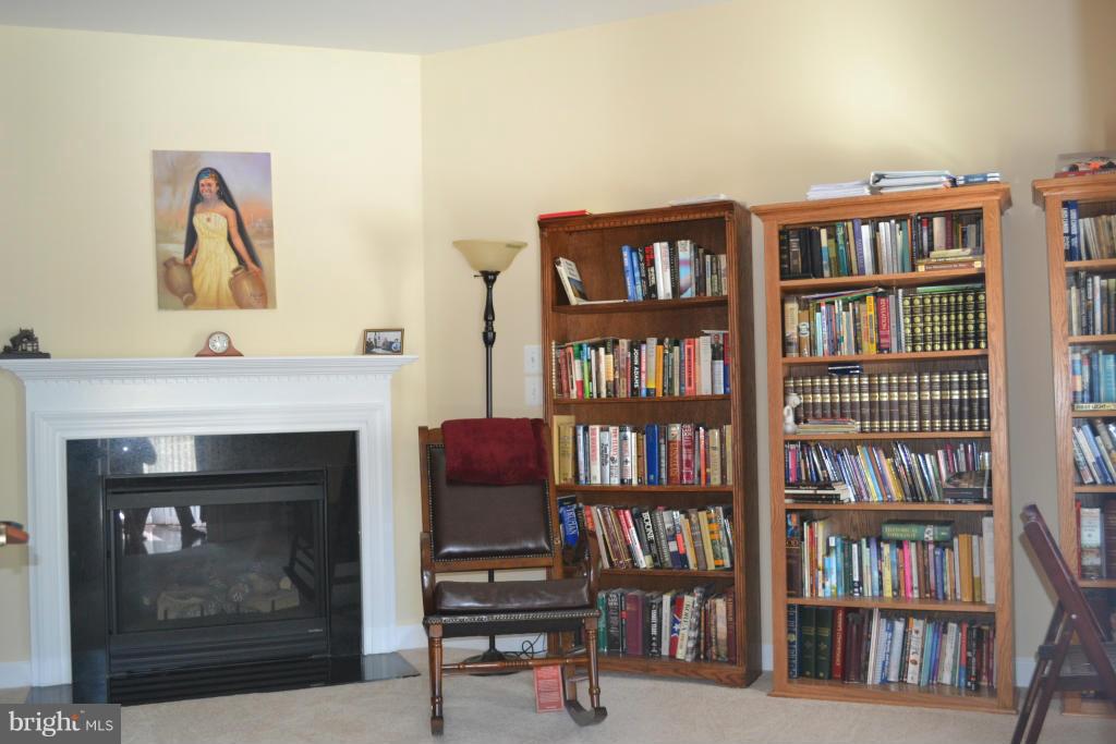 4145 Agency Loop Triangle, VA 22172 - Photo 5 of 24 a living room with bookshelf and a painting on the wall