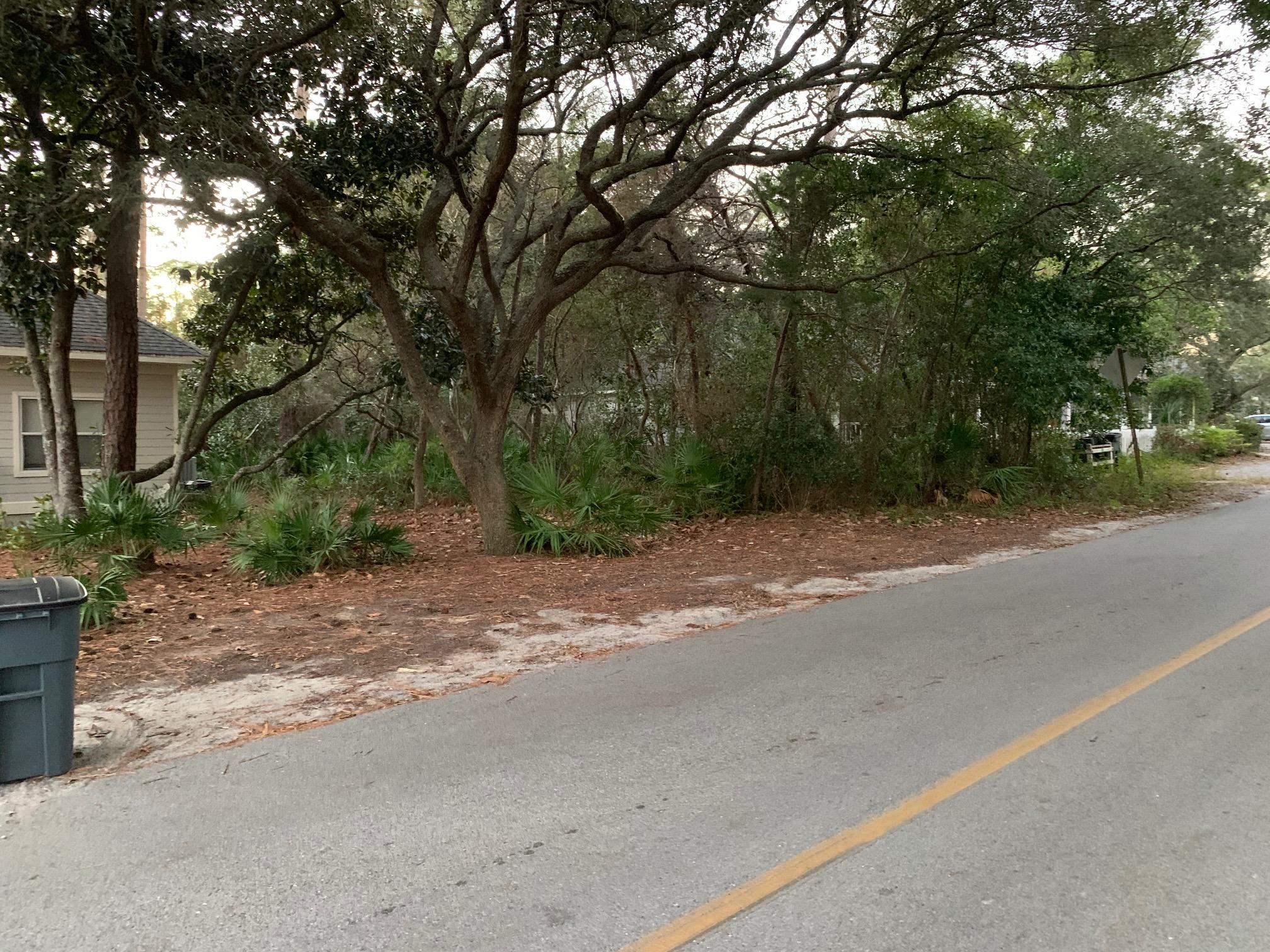 Lot 13 Magnolia Street Santa Rosa Beach, FL 32459 - Photo 1 of 1 Magnolia