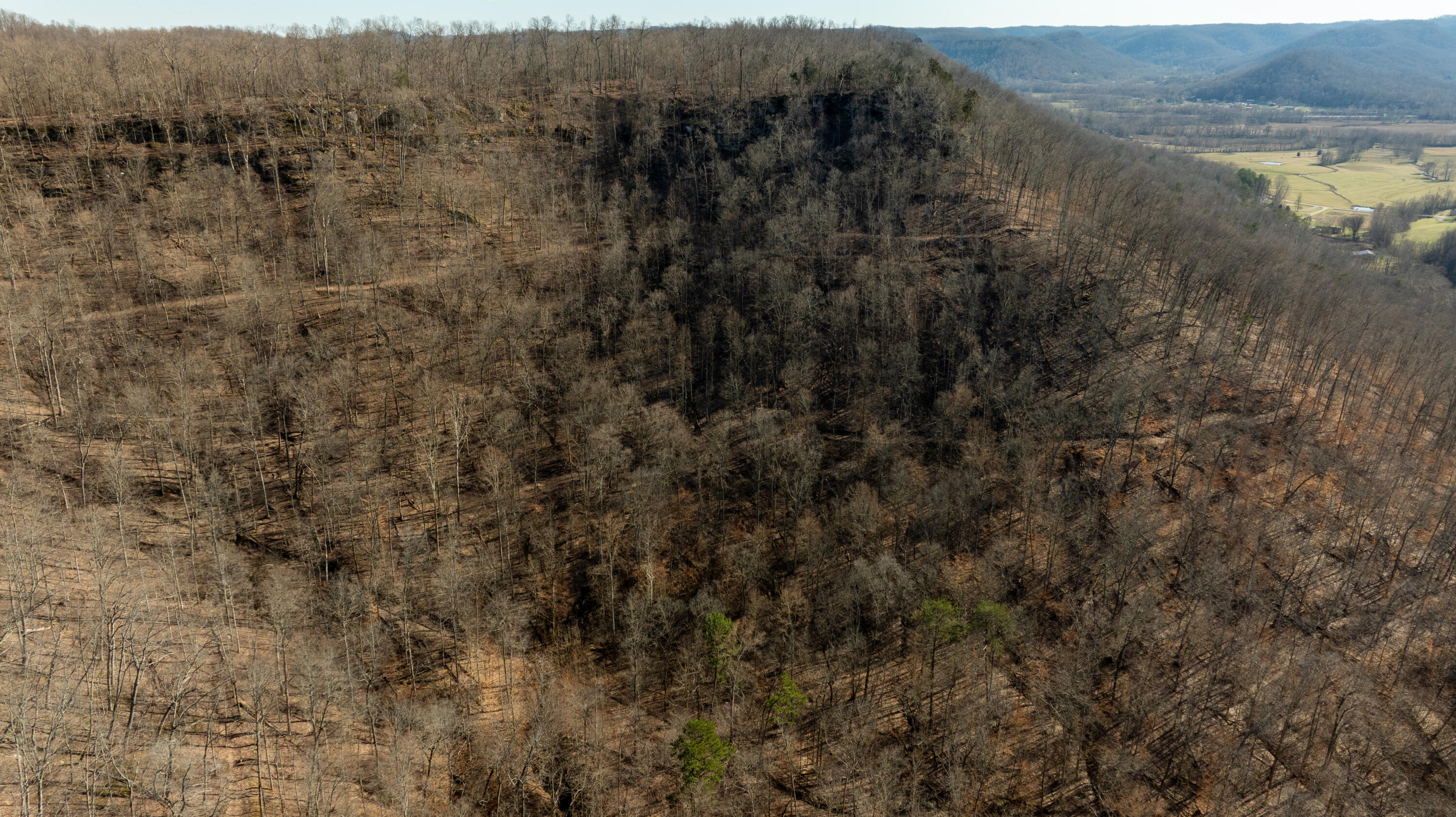 9999 North Bend Road Stanton, KY 40380 - Photo 24 of 84 024