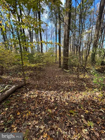 a backyard of apartments with large trees