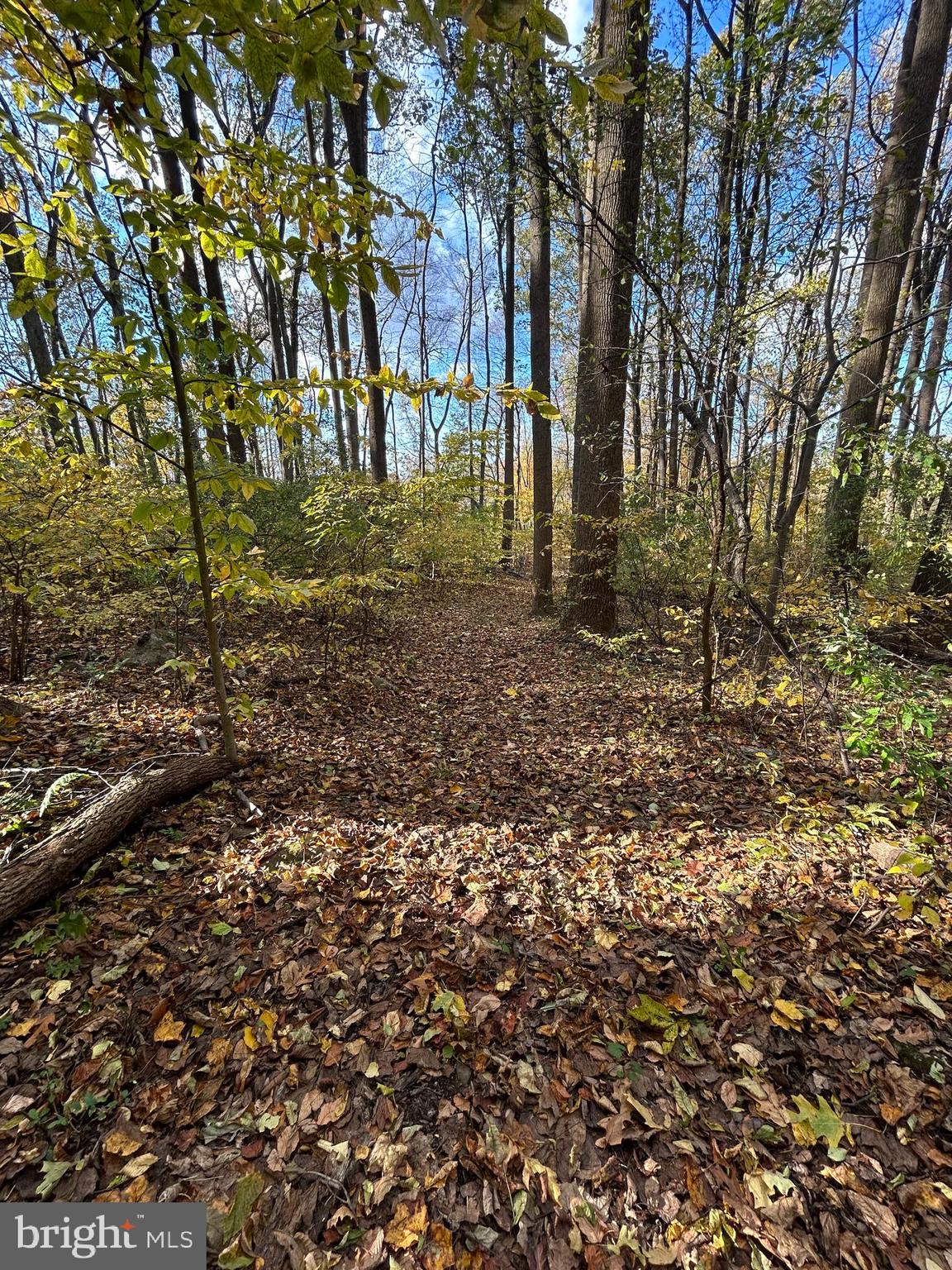 0 Bertolet School Road Spring City, PA 19475 - Photo 13 of 15