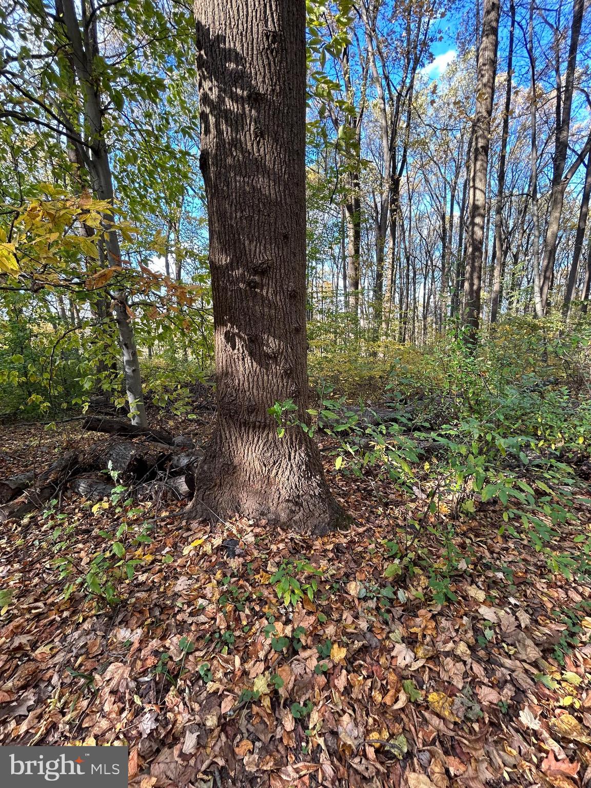 0 Bertolet School Road Spring City, PA 19475 - Photo 14 of 15