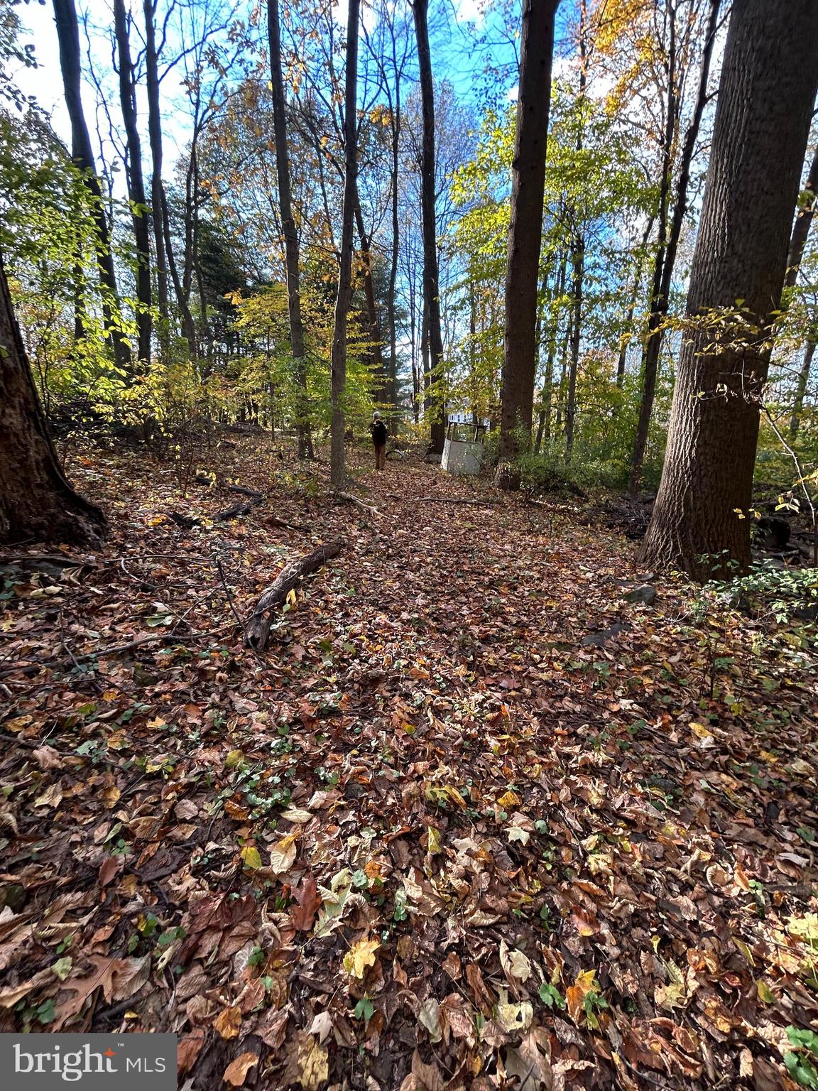 0 Bertolet School Road Spring City, PA 19475 - Photo 15 of 15