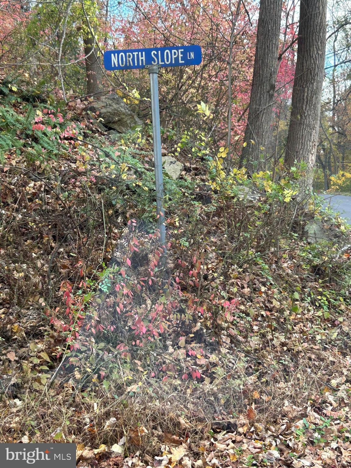 0 Bertolet School Road Spring City, PA 19475 - Photo 6 of 15