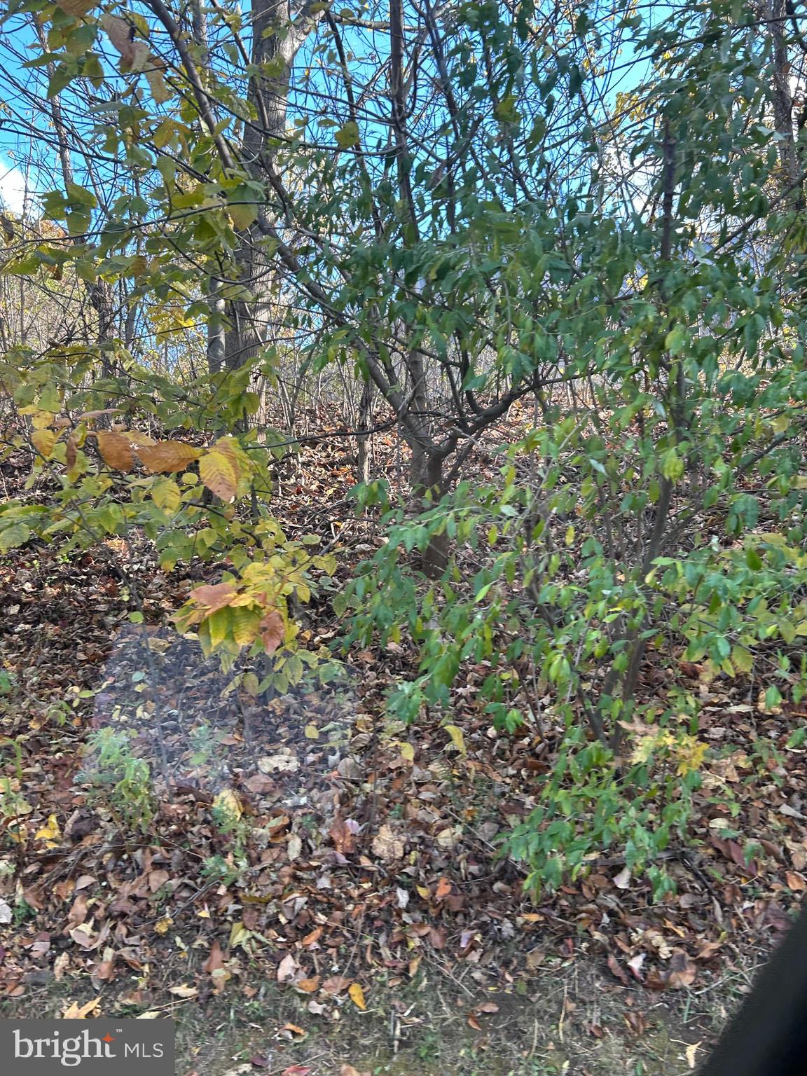 0 Bertolet School Road Spring City, PA 19475 - Photo 7 of 15