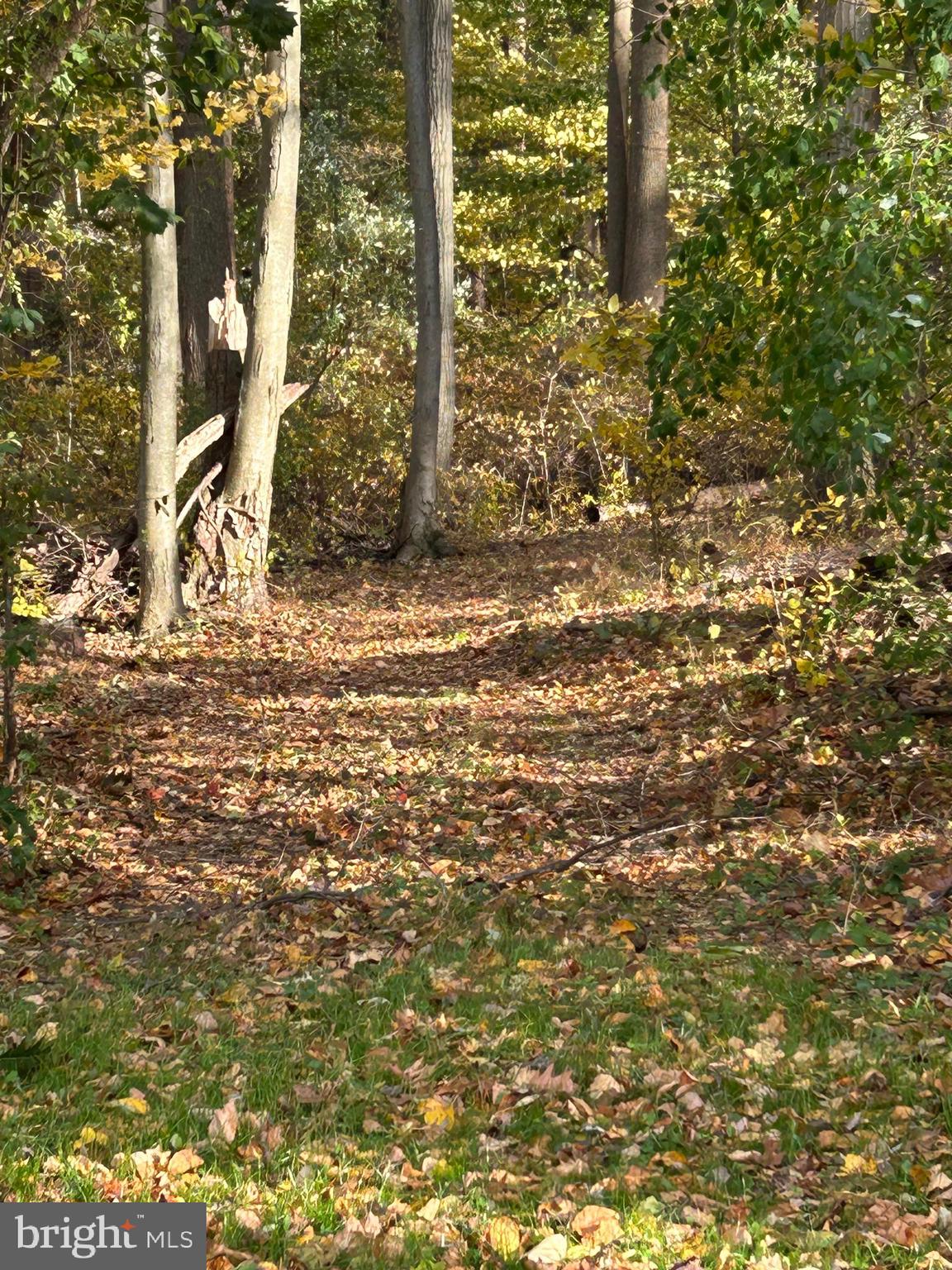 0 Bertolet School Road Spring City, PA 19475 - Photo 7 of 14 a view of outdoor space and a yard