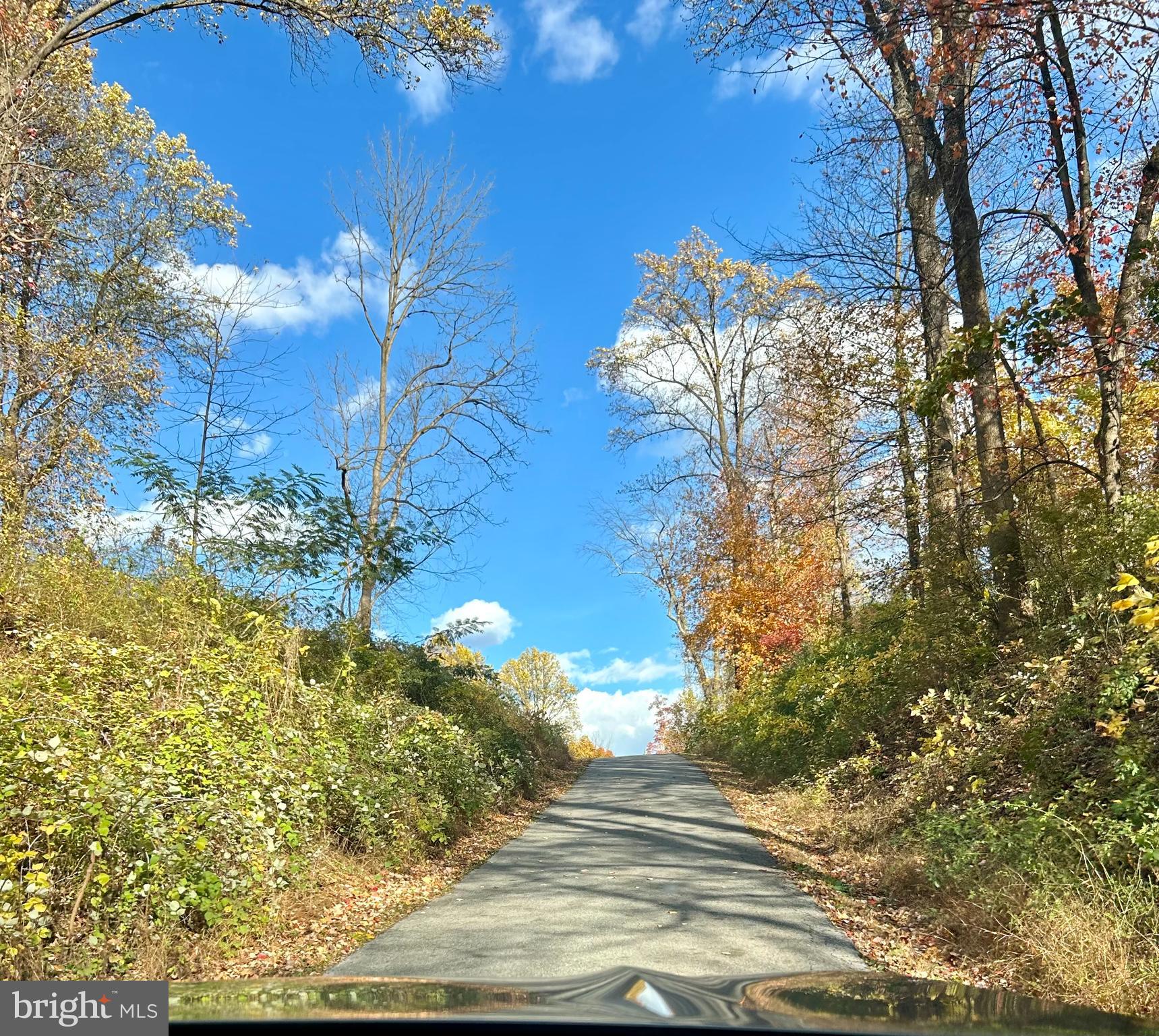 0 Bertolet School Road Spring City, PA 19475 - Photo 9 of 15