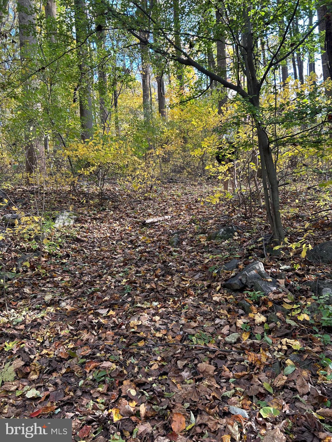 0 Bertolet School Road Spring City, PA 19475 - Photo 10 of 15