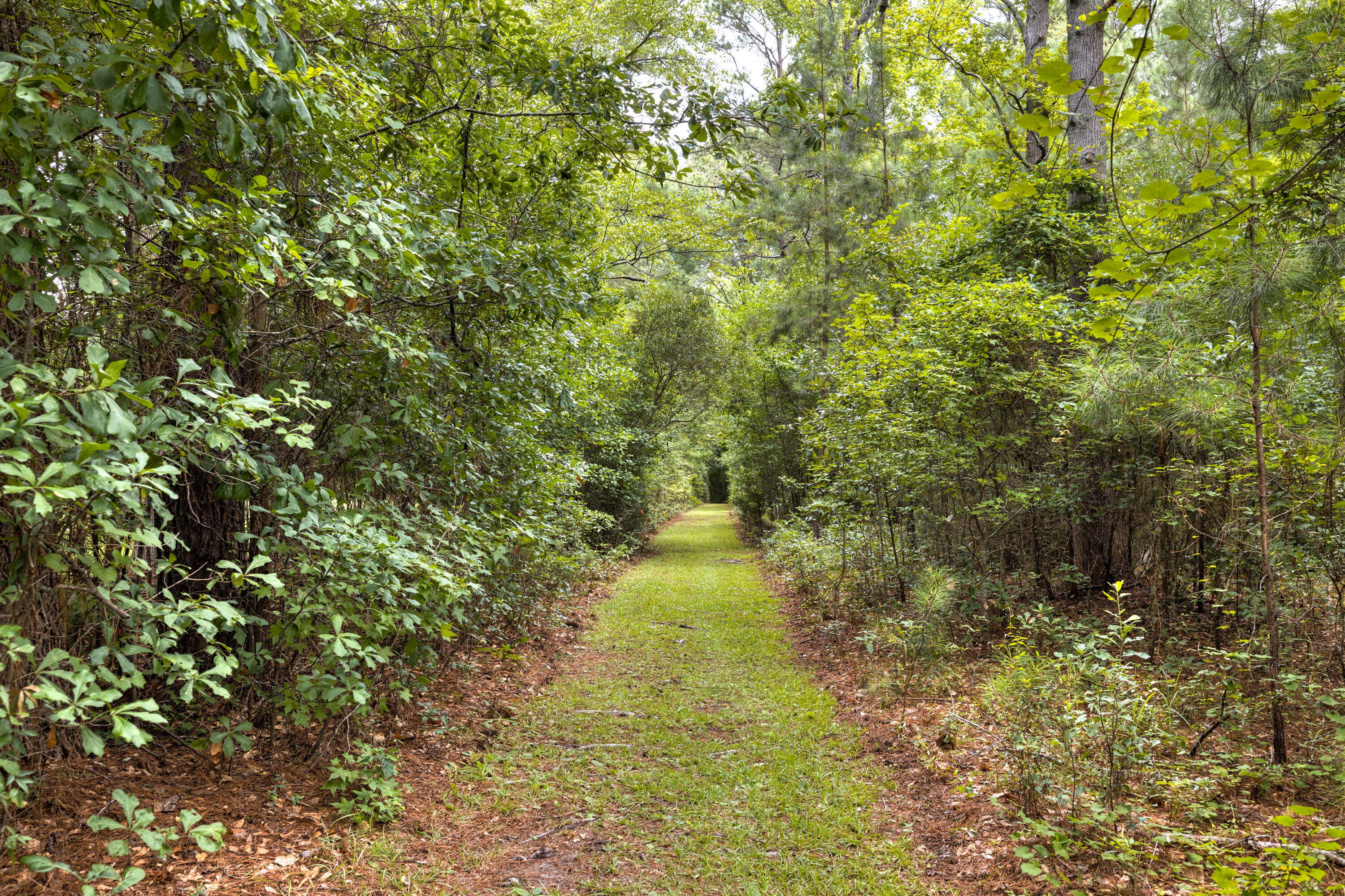 4385 Muriel Street Sumter, SC 29154 - Photo 34 of 40 11