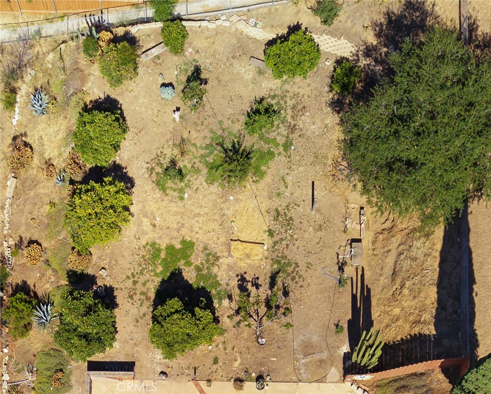 8841 Gardena Way Lakeside, CA 92040 - Photo 40 of 41 Fruit orchard with avocado, orange, lemon, peach, apricot, apple, and tangerine trees