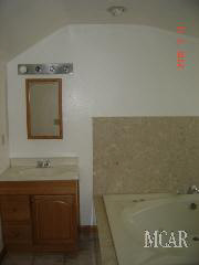 1454 West Temperance Road Temperance, MI 48182 - Photo 11 of 14 Master Bath