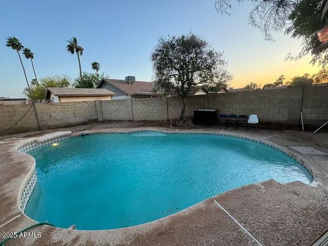 a view of a backyard with plants and palm tree