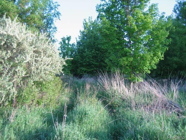 Par D Lum Road Attica, MI 48412 - Photo 5 of 7 Easement