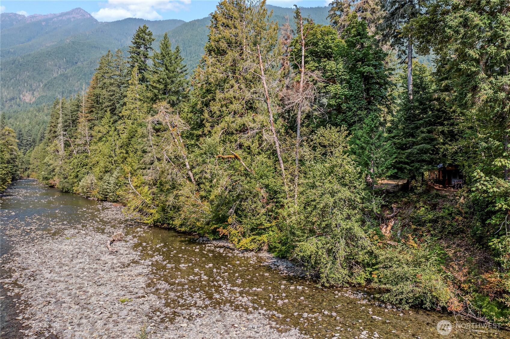 0 North Duckabush Road Brinnon, WA 98320 - Photo 11 of 29 a view of a large yard with plants and large trees