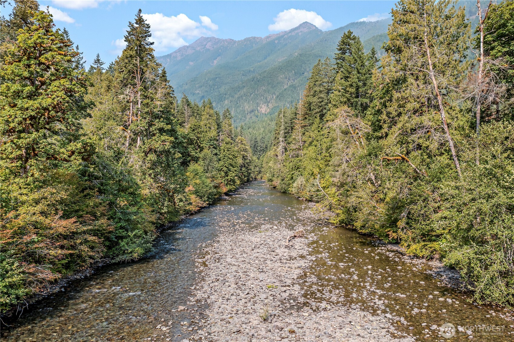 0 North Duckabush Road Brinnon, WA 98320 - Photo 12 of 29 a view of a yard with plants and large trees