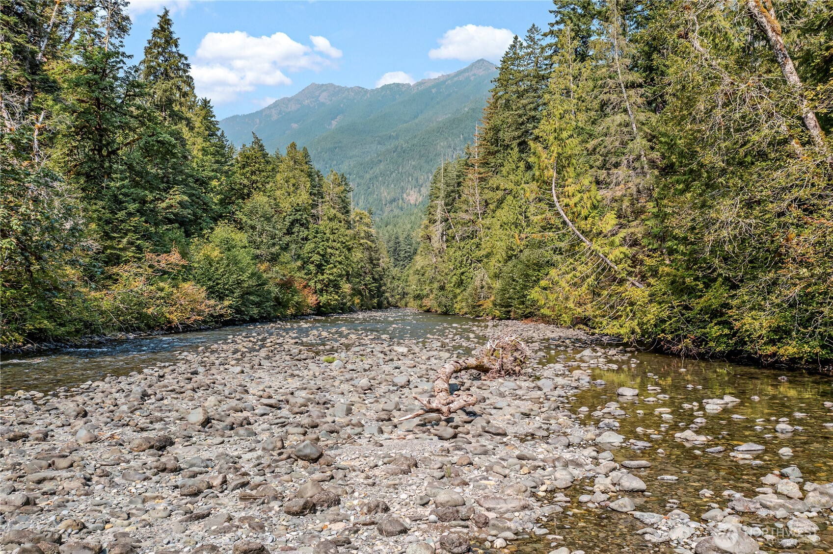 0 North Duckabush Road Brinnon, WA 98320 - Photo 13 of 29 a view of a yard with plants and a bench