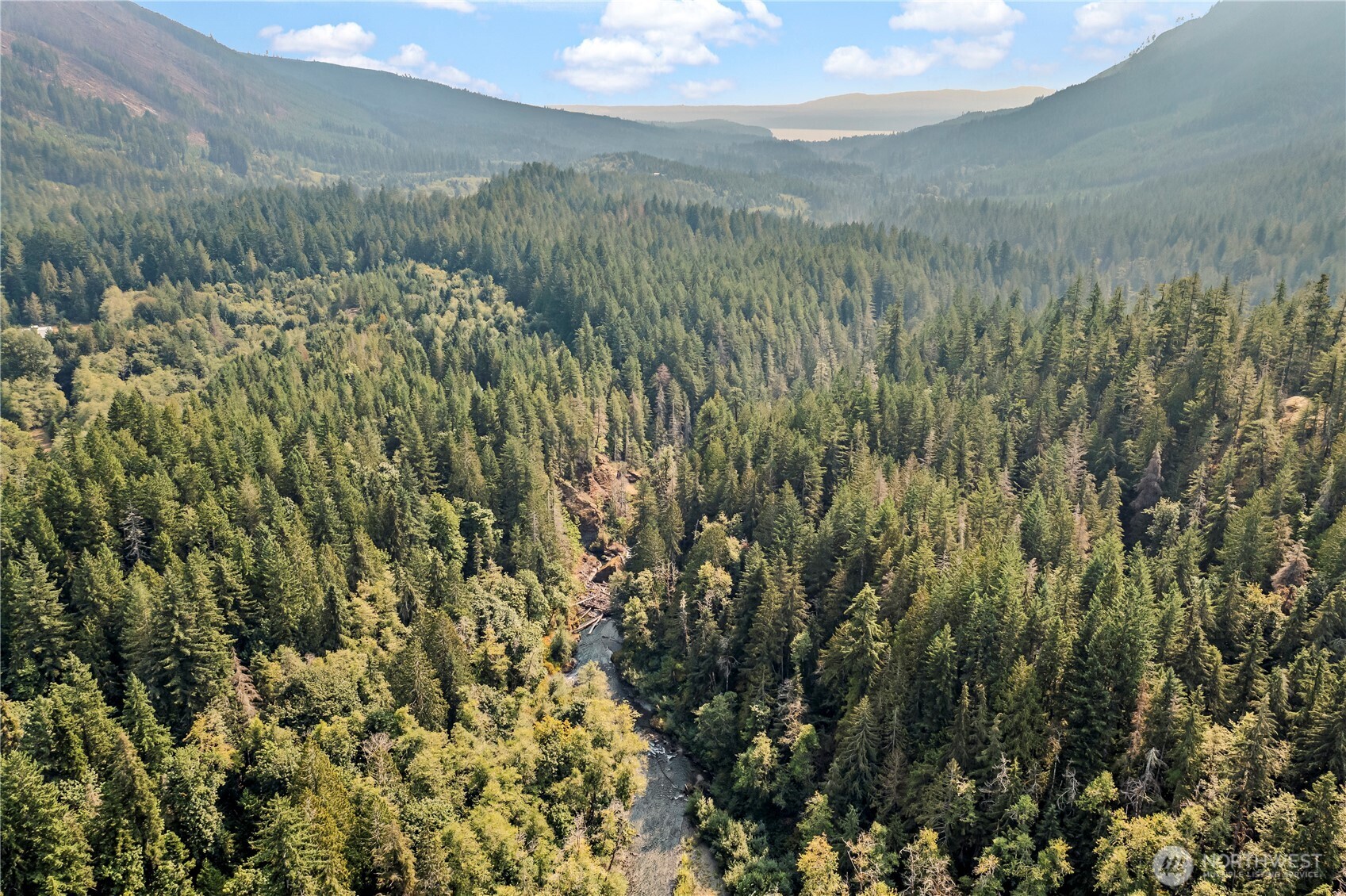 0 North Duckabush Road Brinnon, WA 98320 - Photo 14 of 29 a view of a lush green forest with a mountain
