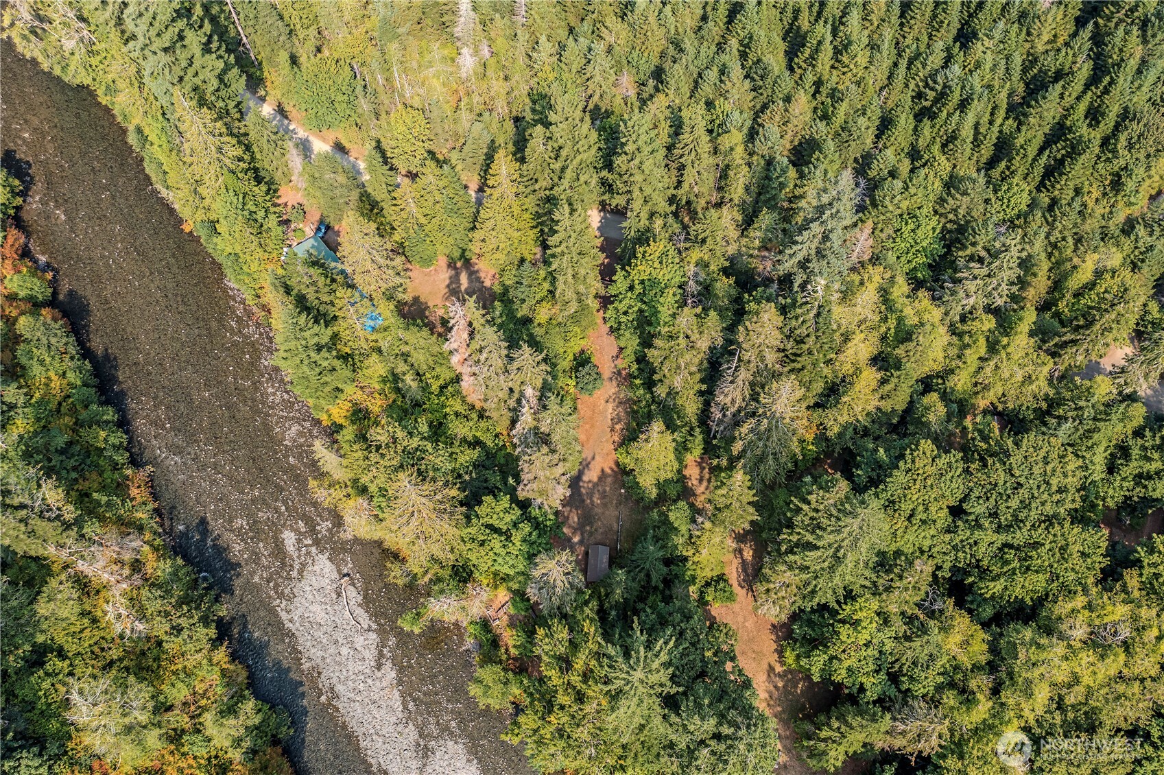 0 North Duckabush Road Brinnon, WA 98320 - Photo 16 of 29 a view of a yard with plants