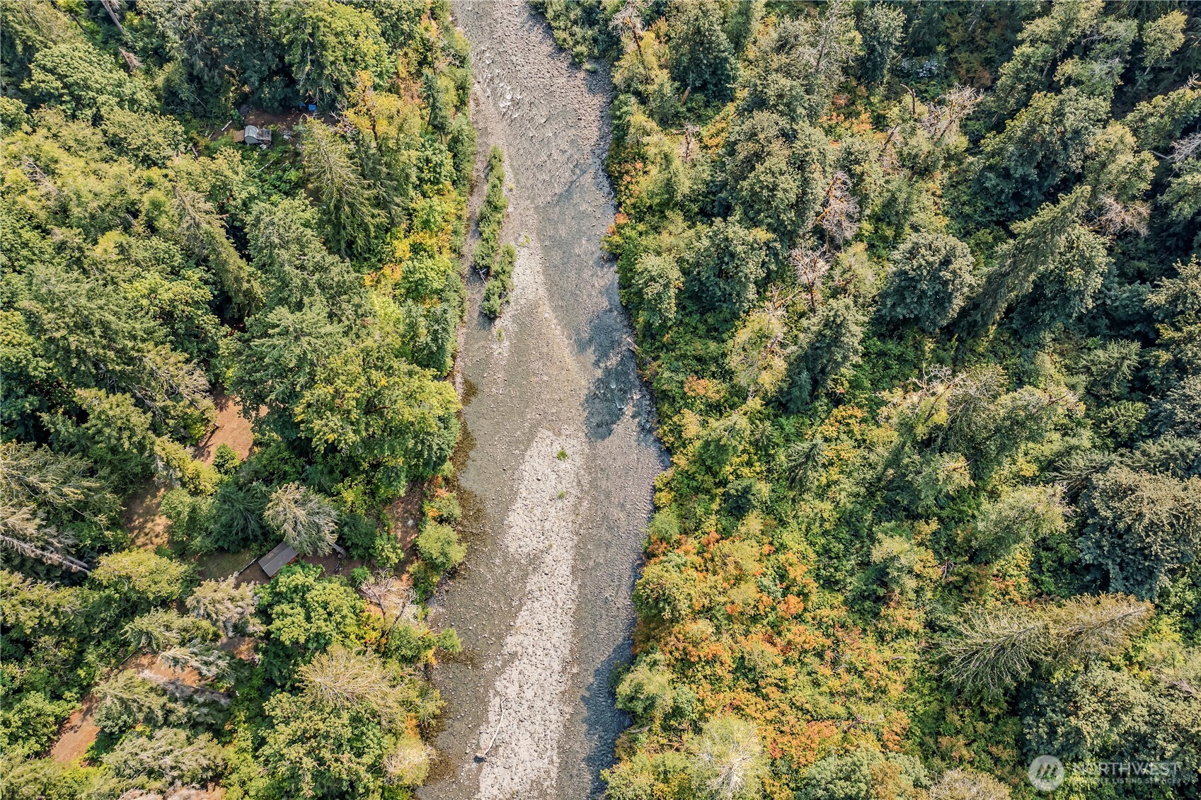 0 North Duckabush Road Brinnon, WA 98320 - Photo 17 of 29 a view of a garden with plants