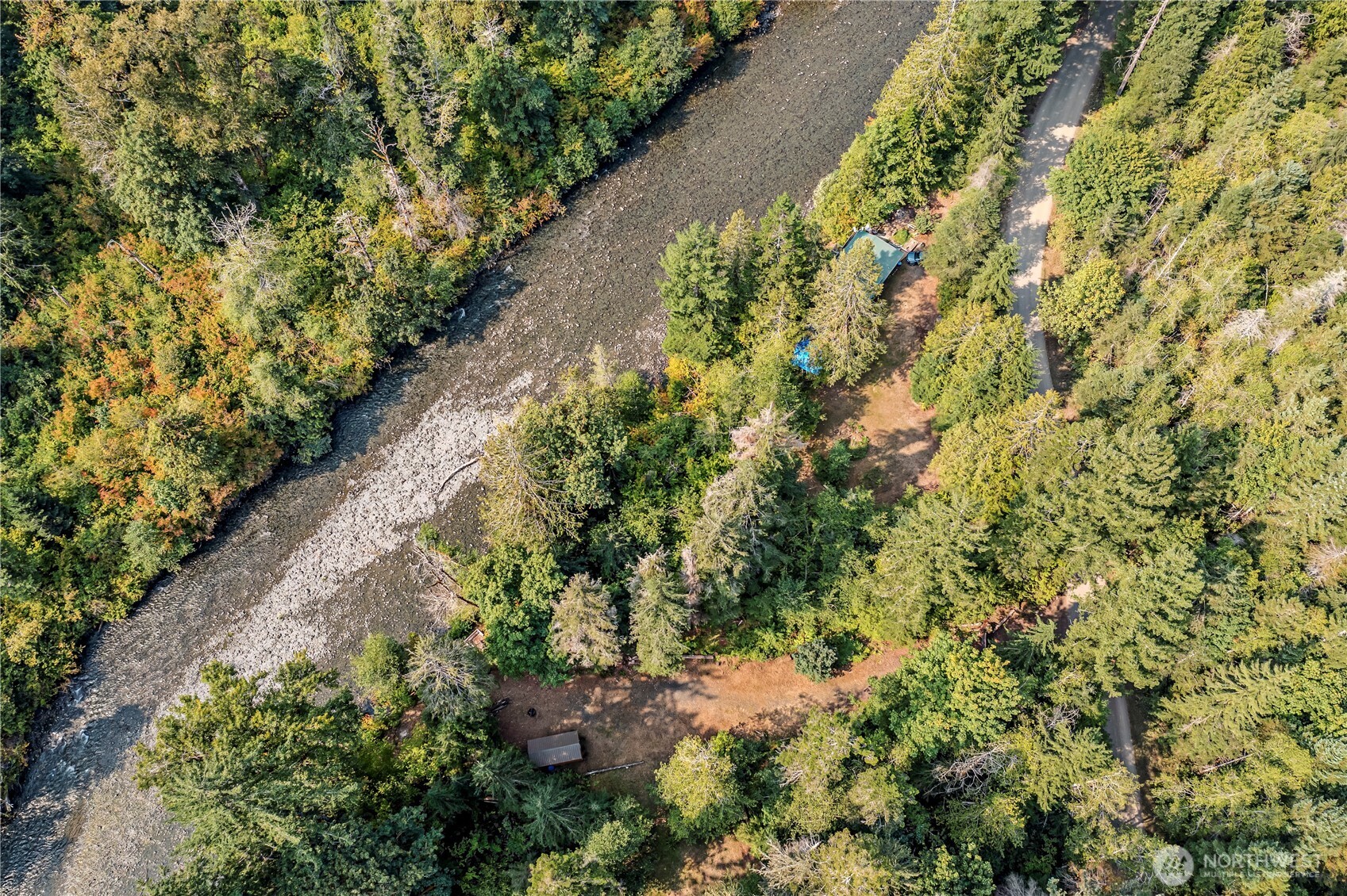 0 North Duckabush Road Brinnon, WA 98320 - Photo 19 of 29 a view of a garden with plants
