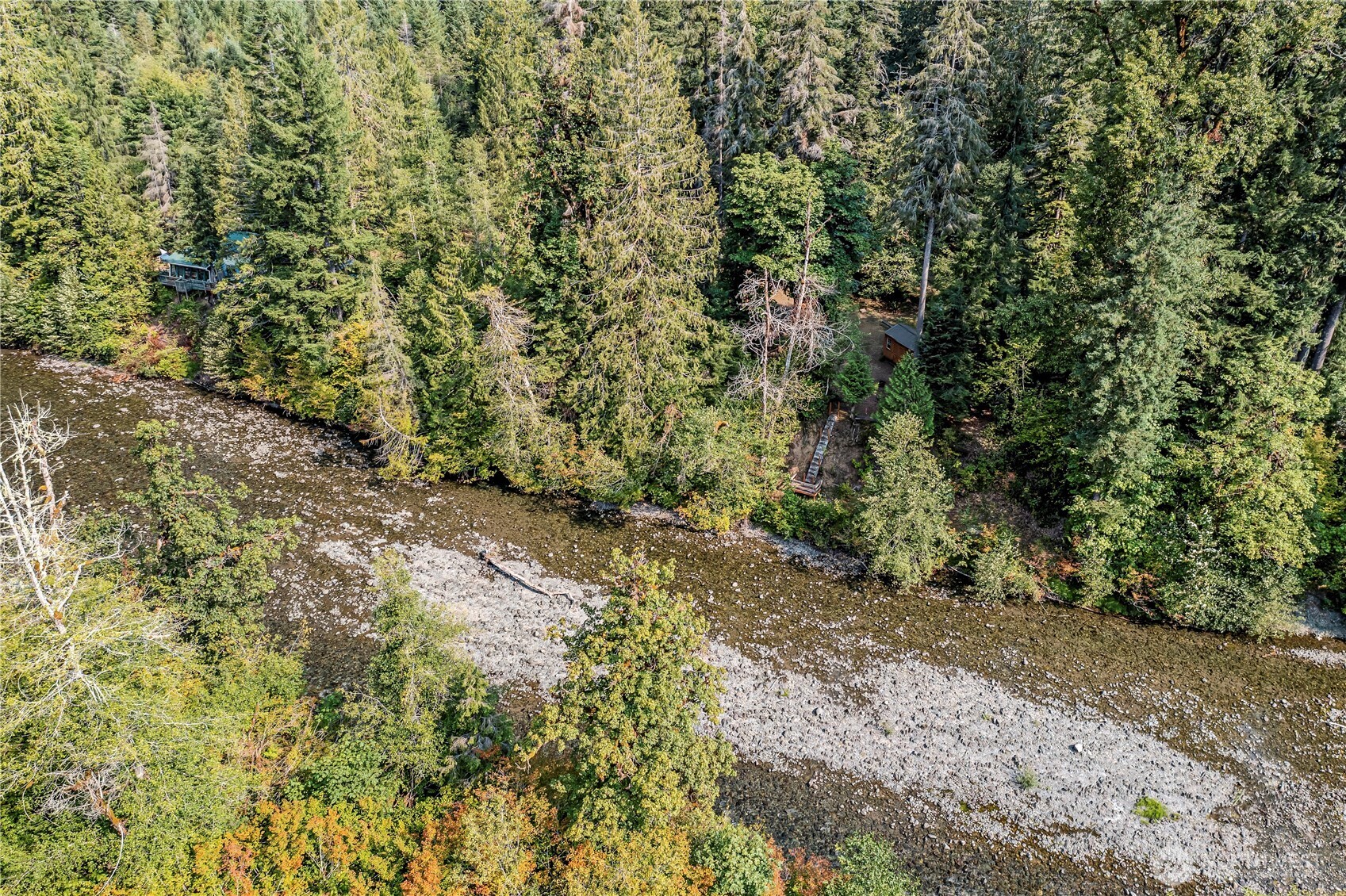 0 North Duckabush Road Brinnon, WA 98320 - Photo 20 of 29 a view of a forest with trees in the background