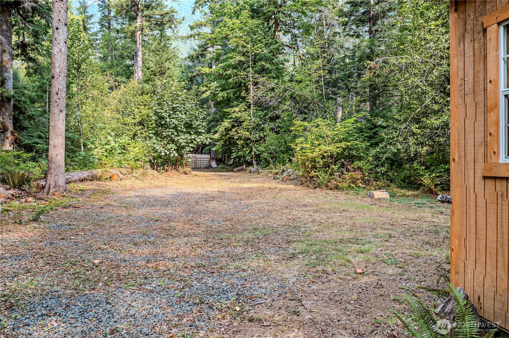 0 North Duckabush Road Brinnon, WA 98320 - Photo 26 of 29 a view of a yard with a tree