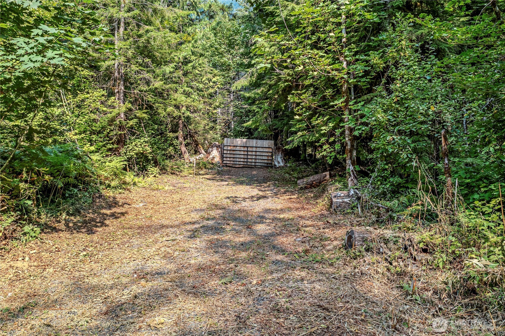 0 North Duckabush Road Brinnon, WA 98320 - Photo 28 of 29 a view of a house with a tree