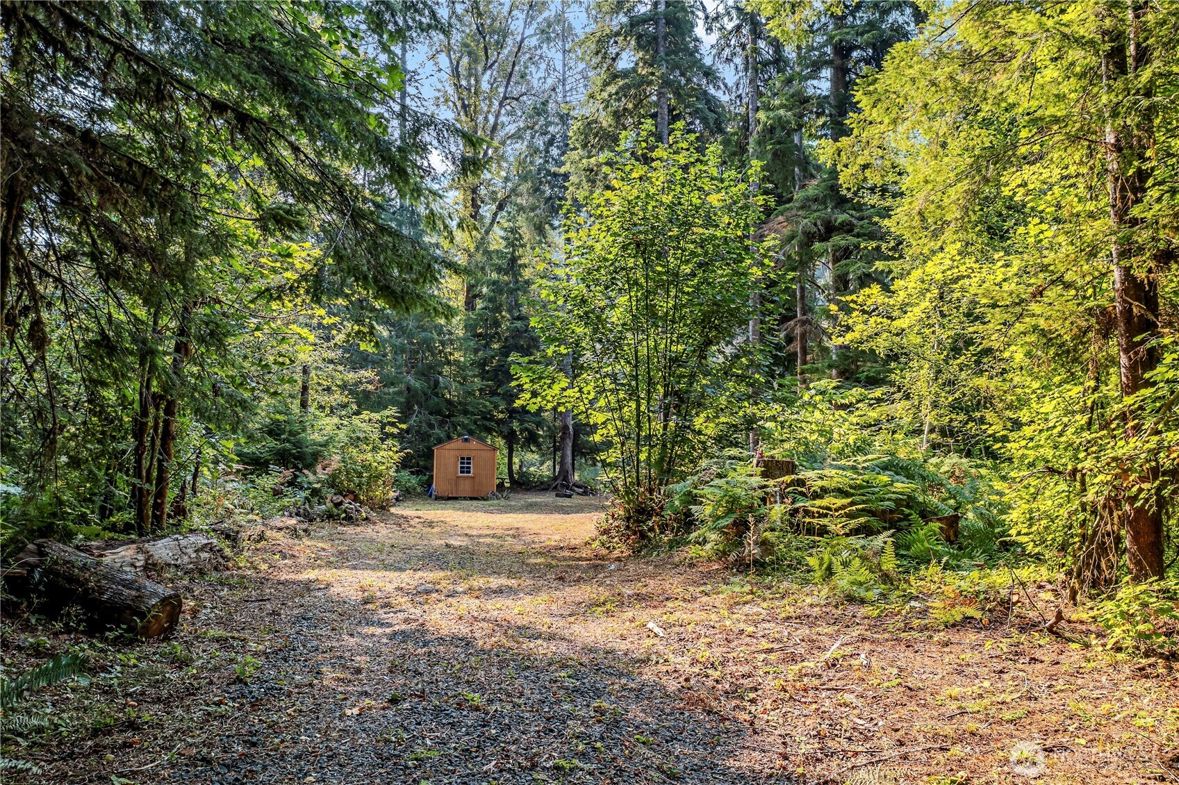 0 North Duckabush Road Brinnon, WA 98320 - Photo 4 of 29 a view of a trees with a tree
