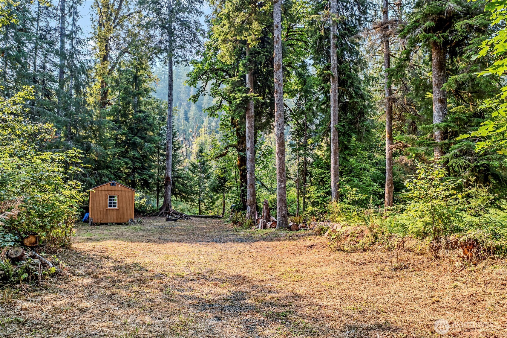 0 North Duckabush Road Brinnon, WA 98320 - Photo 5 of 29 a view of a field with trees in the background