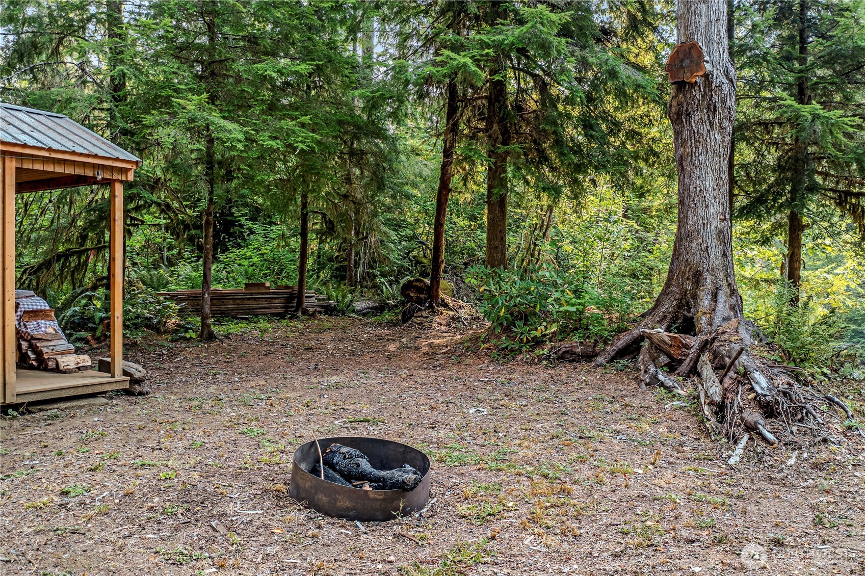0 North Duckabush Road Brinnon, WA 98320 - Photo 7 of 29 a view of a backyard with plants and outdoor seating