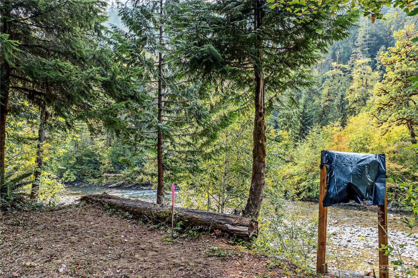 0 North Duckabush Road Brinnon, WA 98320 - Photo 8 of 29 a backyard of a house with lots of green space
