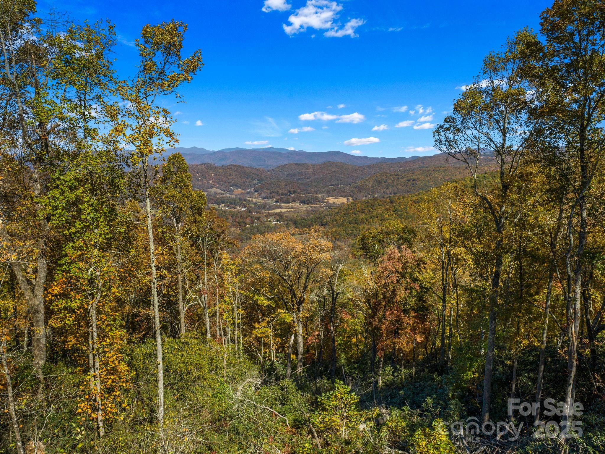 0 Laurel Ledge Way, Unit 19 Fletcher, NC 28732 - Photo 1 of 6