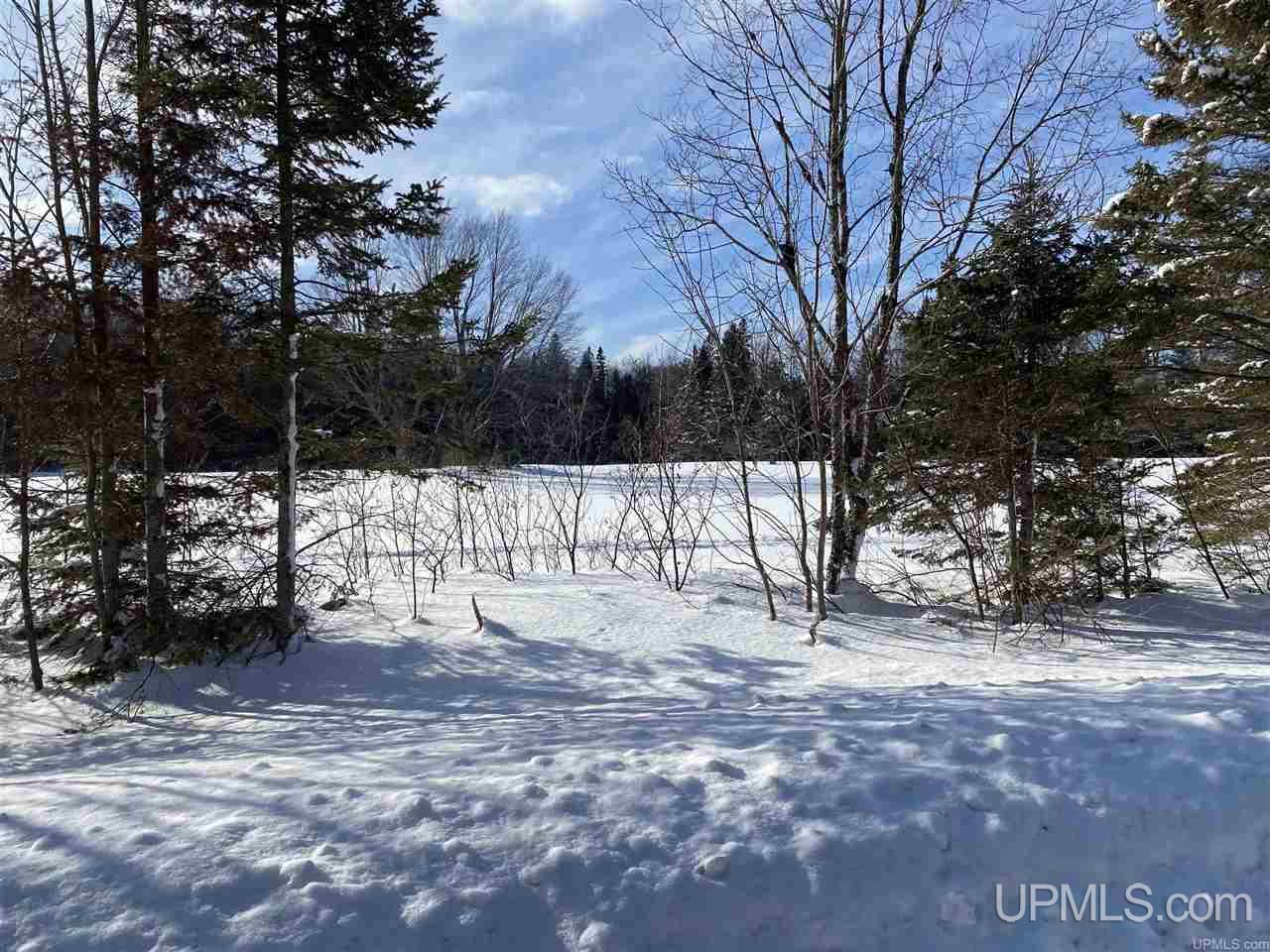 Tbd Halverson Road Skandia, MI 49885 - Photo 7 of 14
