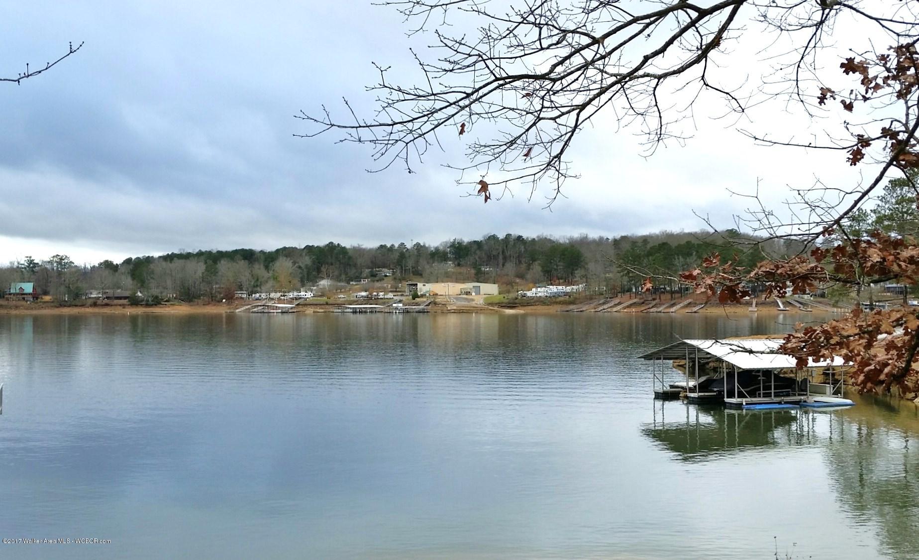 Lot 41 Co Road Crane Hill, AL 35053 - Photo 4 of 11 Gallery Image 4
