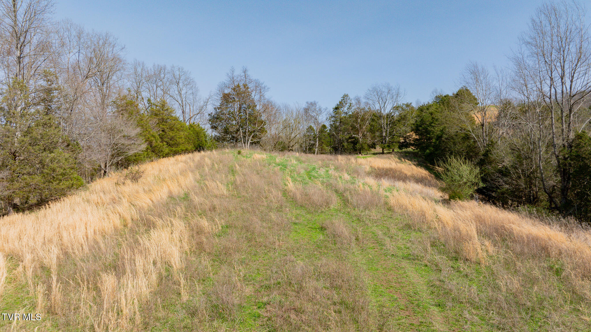 Tbd Keyhole Road Gate City, VA 24251 - Photo 7 of 16 dji_fly_20260313_150406_0426_17734292394