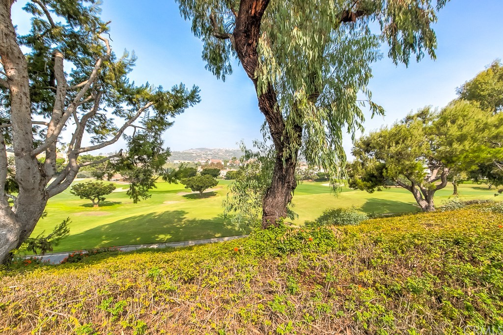 11 Marbella Dana Point, CA 92629 - Photo 40 of 50 a view of a yard with a large tree