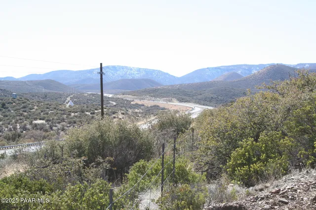 a view of a dry yard