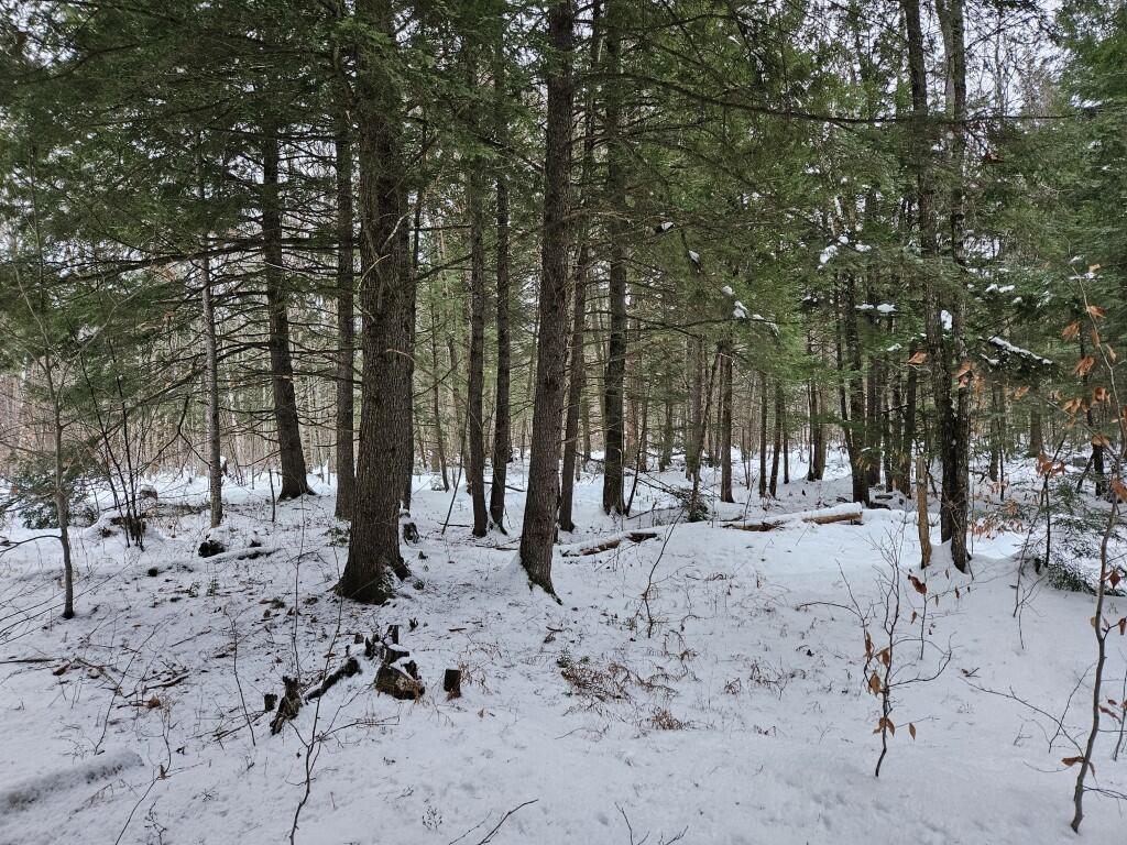 33 North Fryeburg Road Fryeburg, ME 04037 - Photo 5 of 36 5 Hemlock